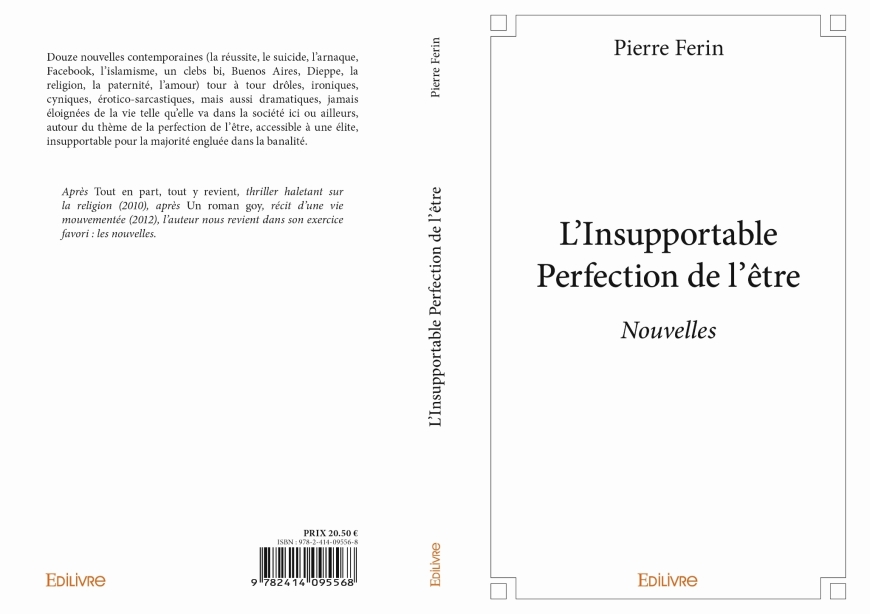 L’insupportable perfection de l’être pierre ferin